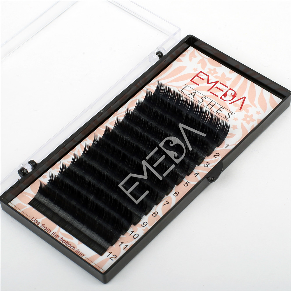 Eyelash Extension Offers EL41